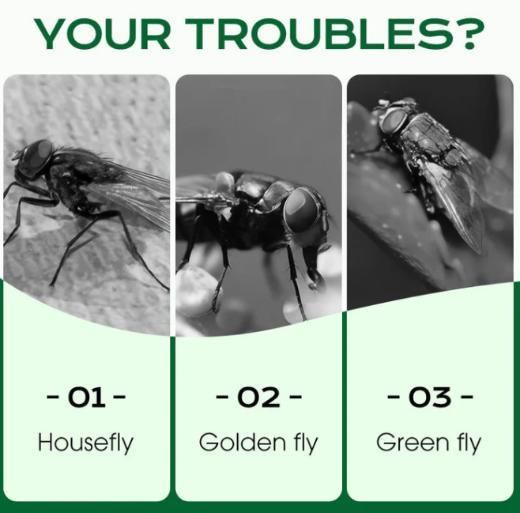 Multi-Scene Fast-Acting Fly Killer (Pack of 1)